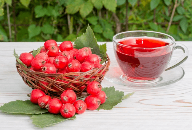Eine Abkochung von Hawthorn